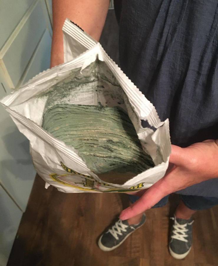 The Definition Of A Bad Day