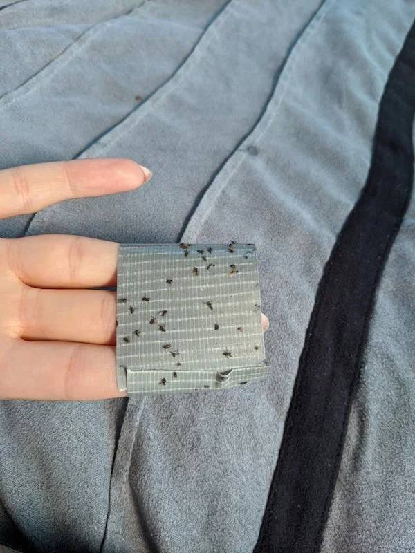 Lifehacks That Actually Work!