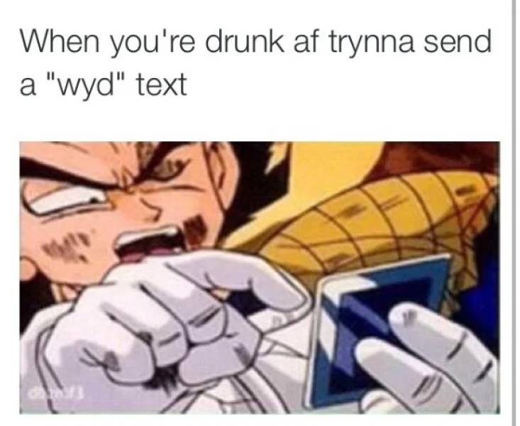 100% Wasted!