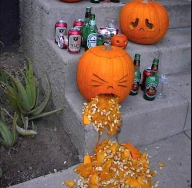 100% Wasted!