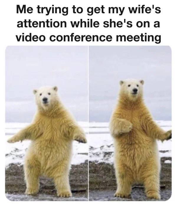 Real Life Can Be Such A Meme…