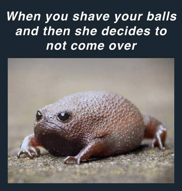 Real Life Can Be Such A Meme…