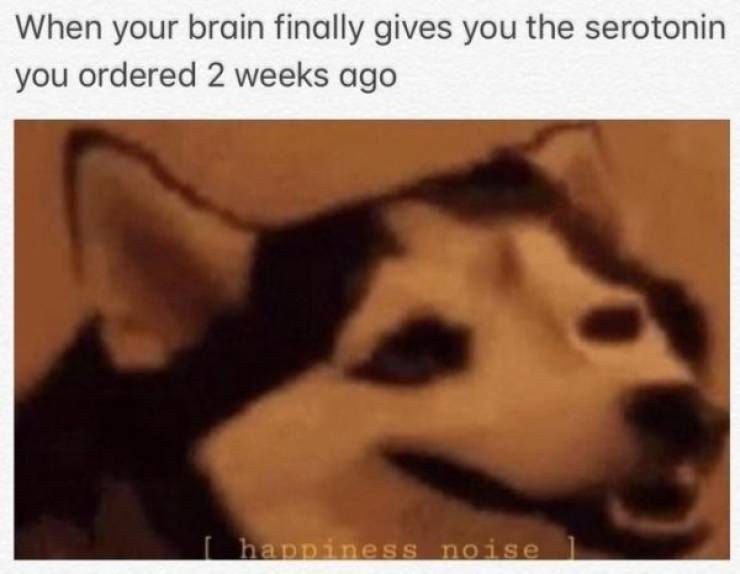 What Happens When Men See Boobs…