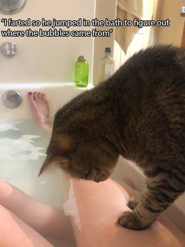 Dirty Mind, Come Here!