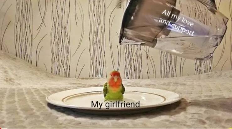 These Flirty-Dirty Memes Are For Your Special One