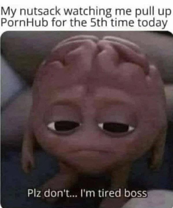 These Memes Are Extremely NSFW!