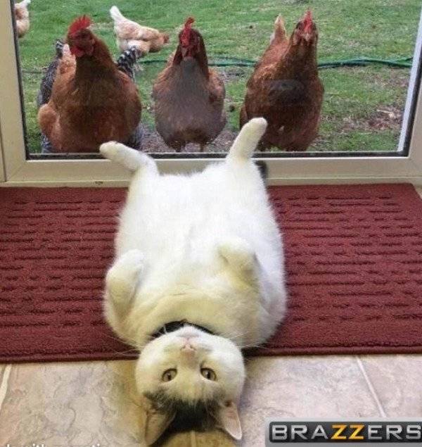 There’s Always Time For Some Dirty Humor!