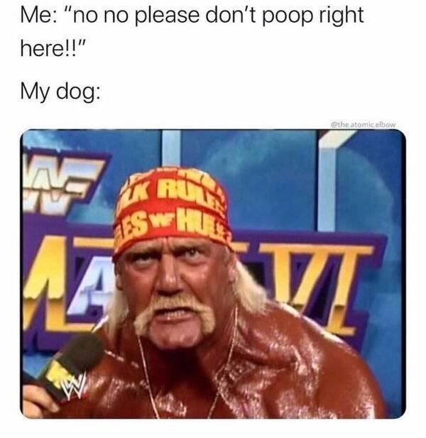 Dirty Minds Are Welcome Here!