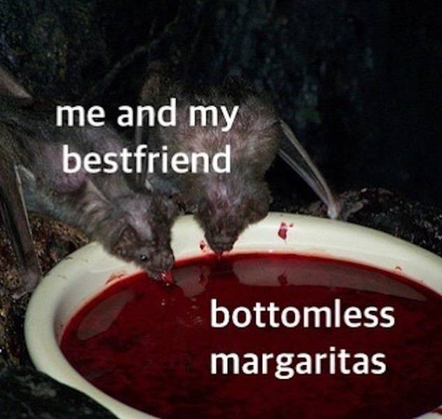 These Memes Are Already Drunk…