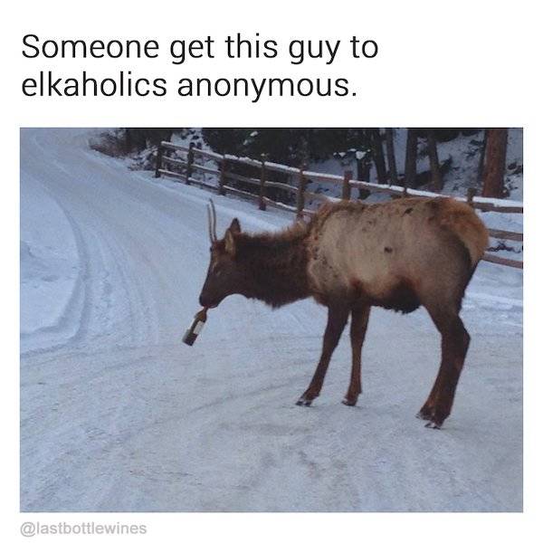 Red Memes! White Memes! Wine Memes!