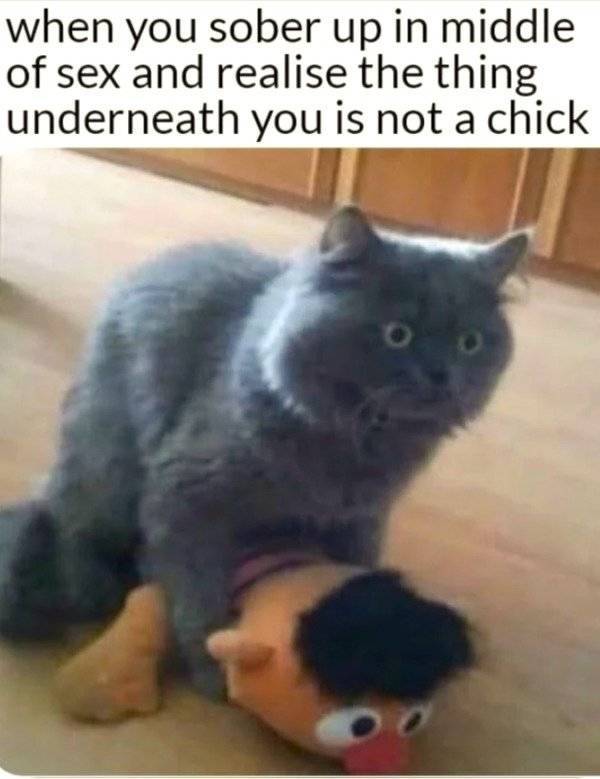 Ready For Some Shameless Sex Memes?!