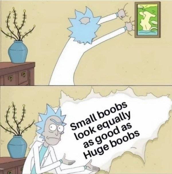 Ready For Some Shameless Sex Memes?!