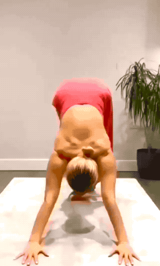 Get Fit With These Fitness Girls!