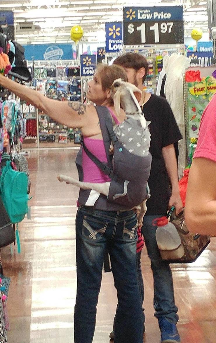 “Walmart” And Its Crazy Customers