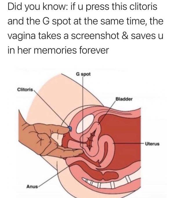 These Memes Are 100% NSFW!