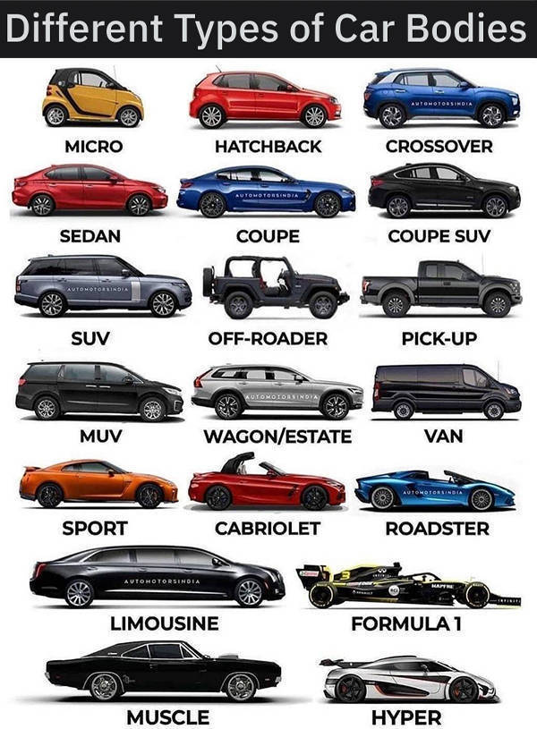 Random Charts Full Of Random Knowledge!