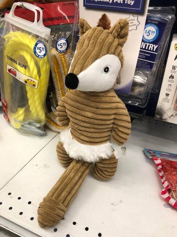 They KNEW What They Were Doing