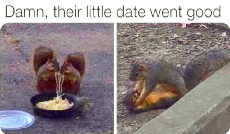 2022 Is Off To A NSFW Start!