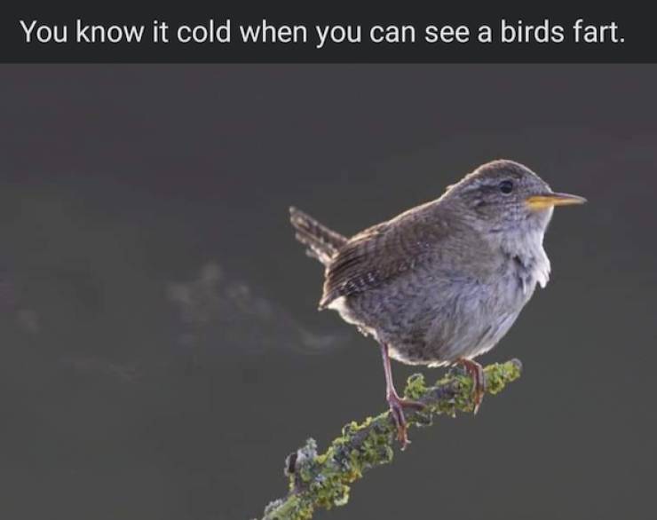 Just A Bit Of Dirtiness…