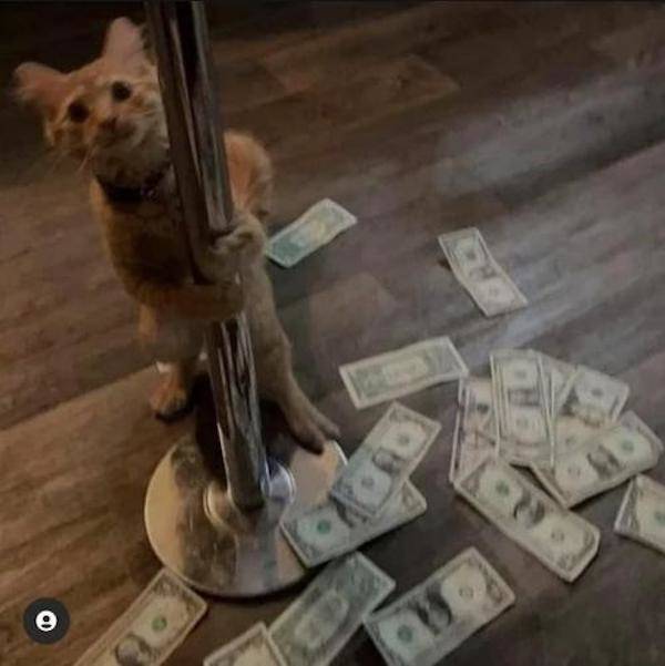 Dirty Humor, Any Day Of The Week!