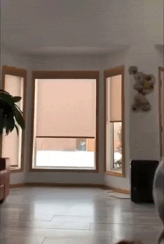 These Fails Are Mighty Fine!