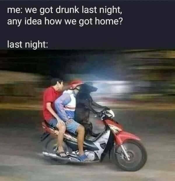 The Weekend Is Almost Here!