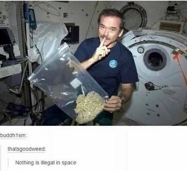 These Memes Are Higher Than The Sky…