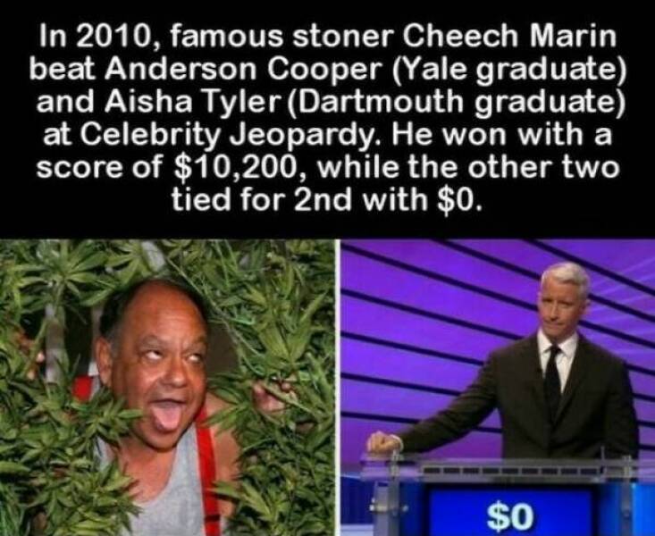 Did You Know?
