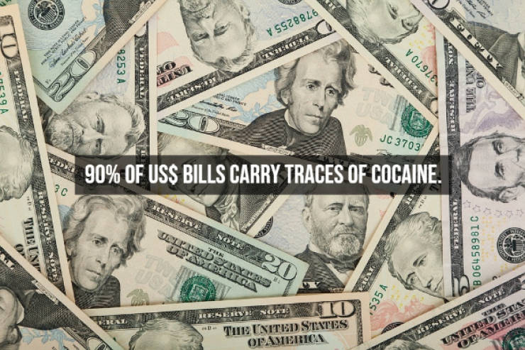 Illegal Facts About Cocaine