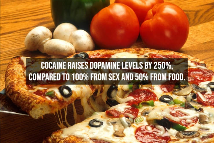 Illegal Facts About Cocaine