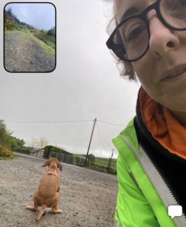 Filming Some Wild Stuff…