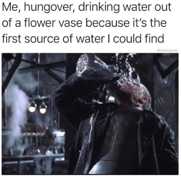 These Memes Are Worse Than Your Hangover…