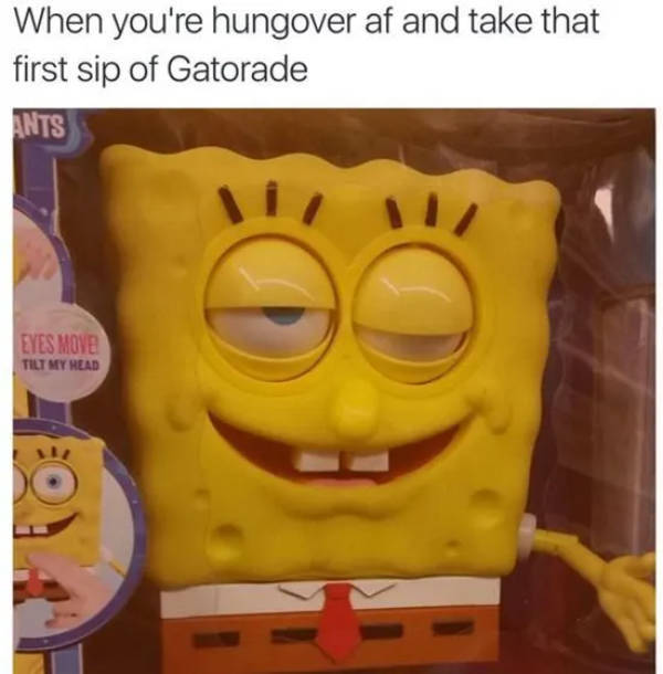 Cure Your Hangover With This Batch Of Memes