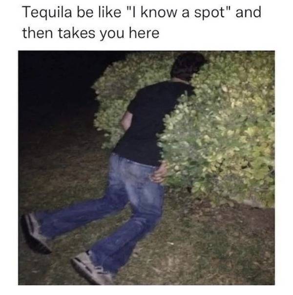 How Drunk Are They?!