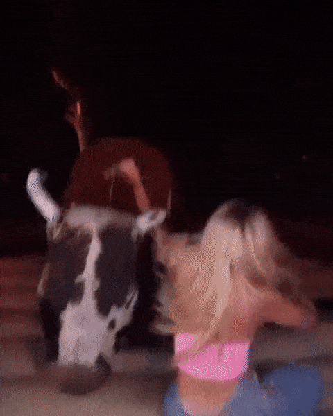 Girls Having Some Fun