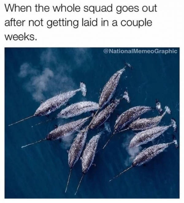 When You Are On A Dry Spell