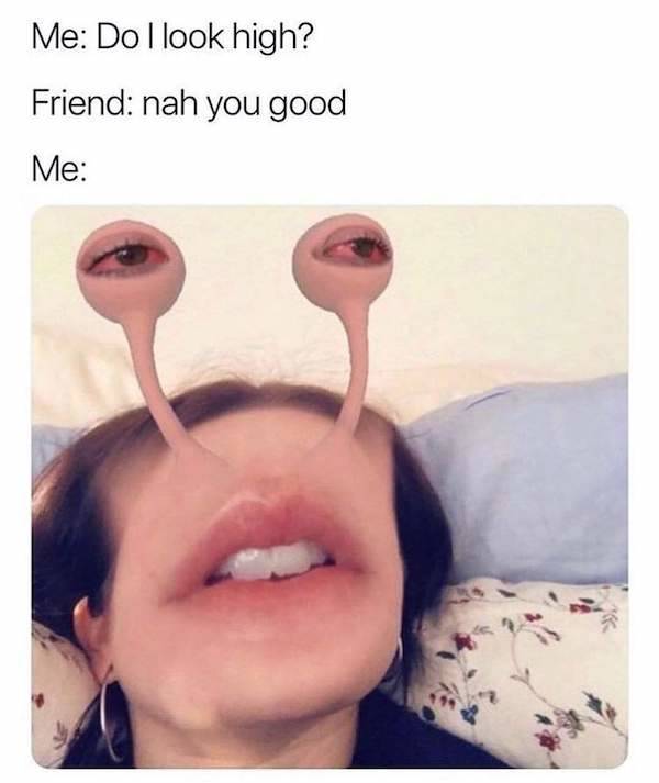 These Stoner Memes Are Already High…