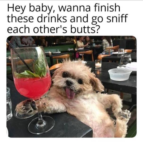 Drinking Never Ends…