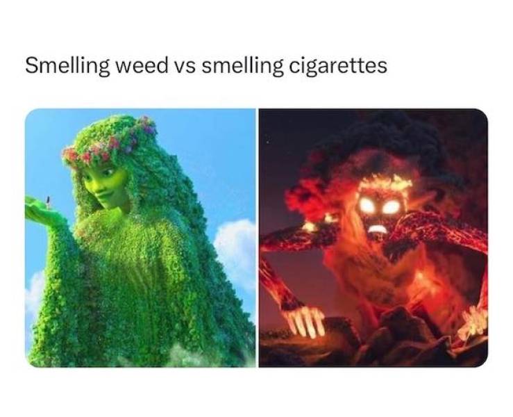 These Memes Are Already Stoned