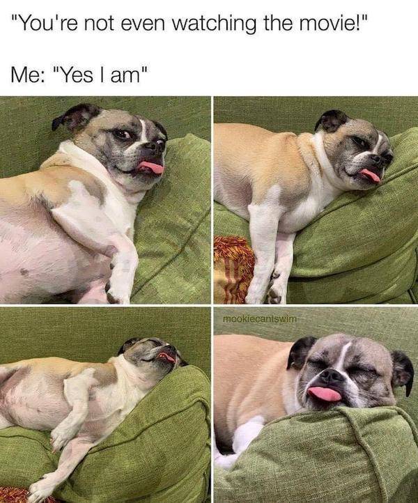 Memes To Add Some Spice To Your Sexting Game