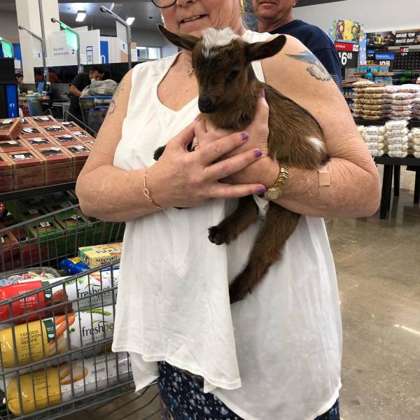 “Walmart” Visitors Are Very Special