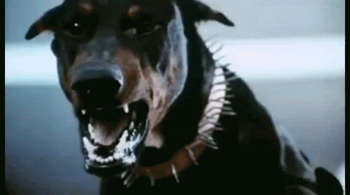 People Share The Biggest Antii-climax They