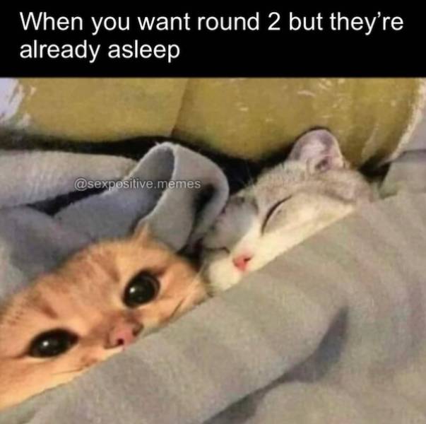 NSFW Memes To Add Some Spice To Your Life