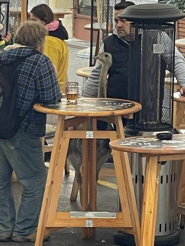 Drinking Never Ends...