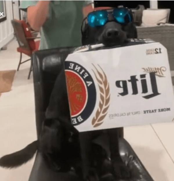 Drinking Never Ends...