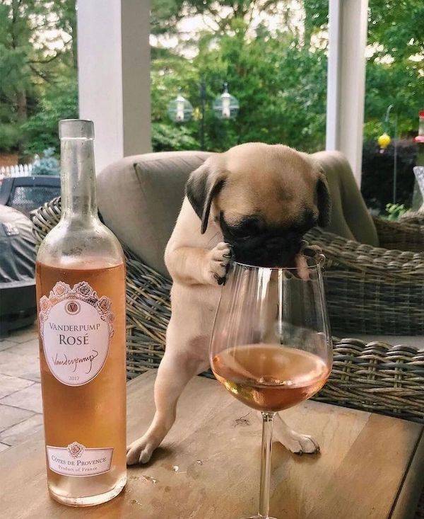 Drinking Never Ends...