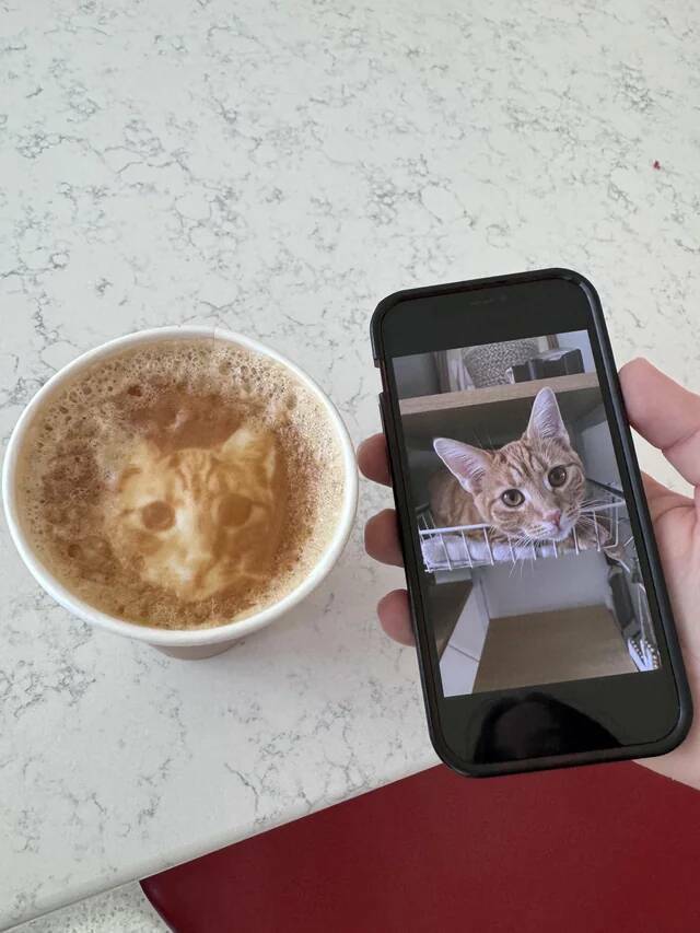 Gently Captivating: Images That Hold A Mildly Intriguing Charm