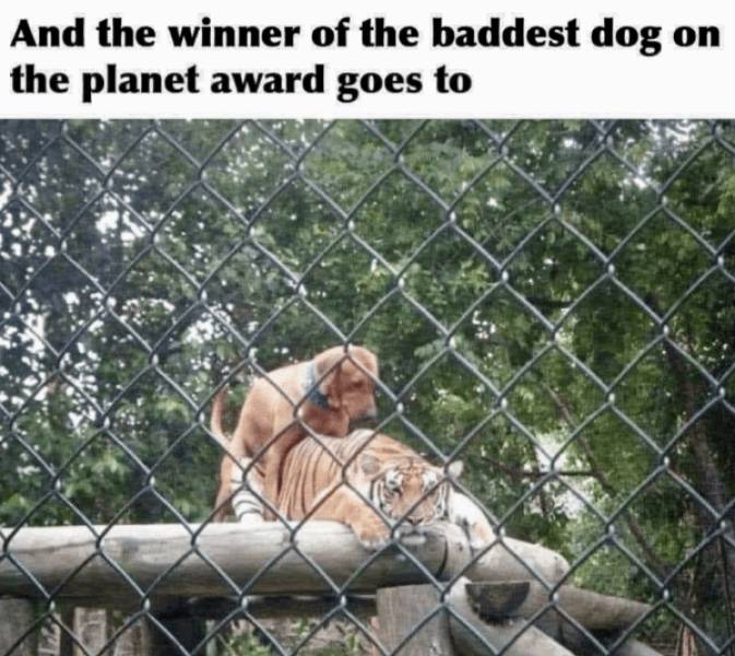 PG-13 Memes That Push The Boundaries