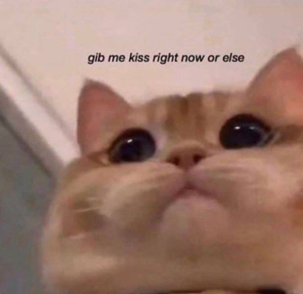 Dirty And Flirty Memes To Share with Someone Special