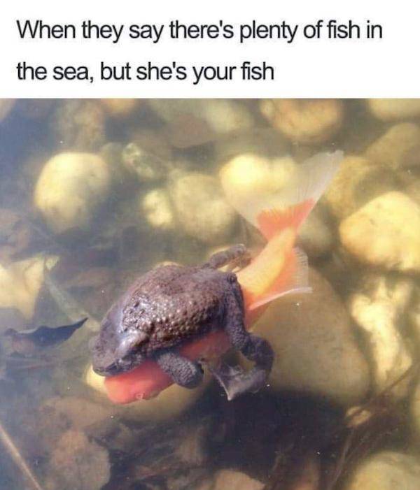 Dirty And Flirty Memes To Share with Someone Special